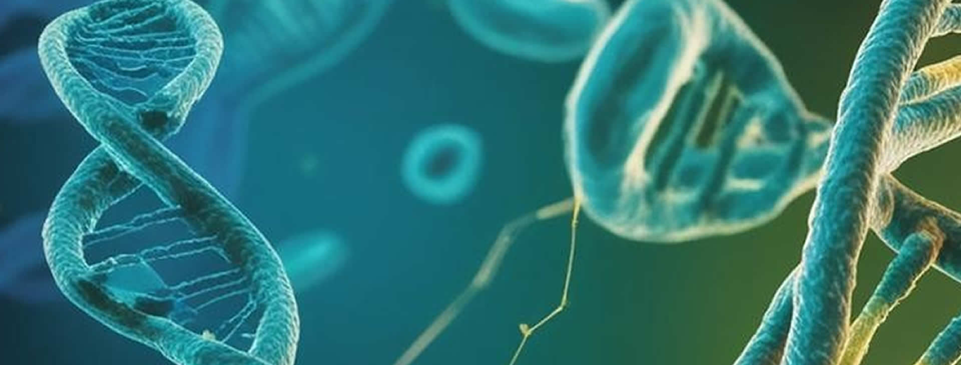 Mestrado em Biociências e Saúde Humana